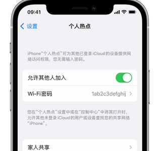 吉州apple服务站点分享iPhone上个人热点丢失了怎么办 