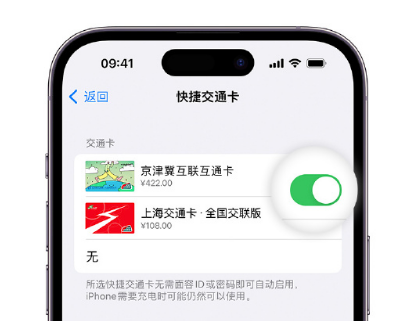 吉州apple维修点分享iPhone上更换Apple Pay快捷交通卡手绘卡面 