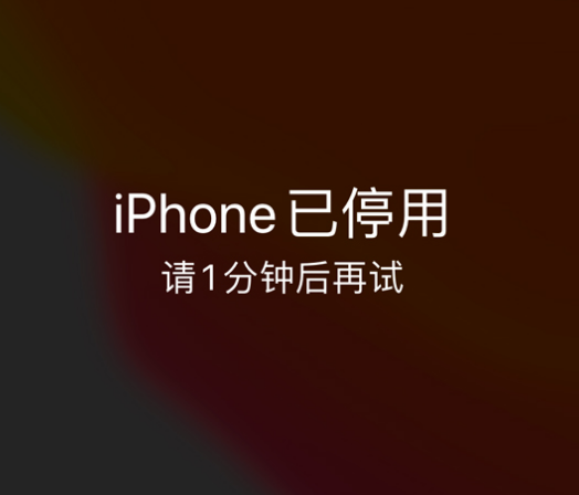 吉州苹果手机维修分享:iPhone 显示“不可用”或“已停用”怎么办？还能保留数据吗？ 