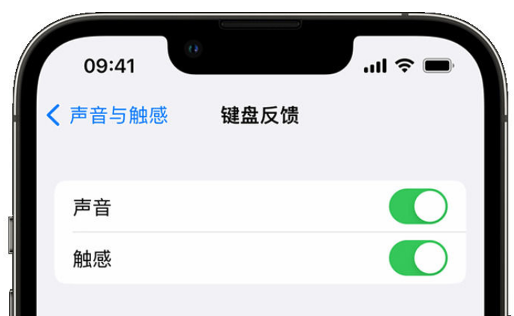 吉州苹果手机维修分享iPhone 14触感键盘使用方法 