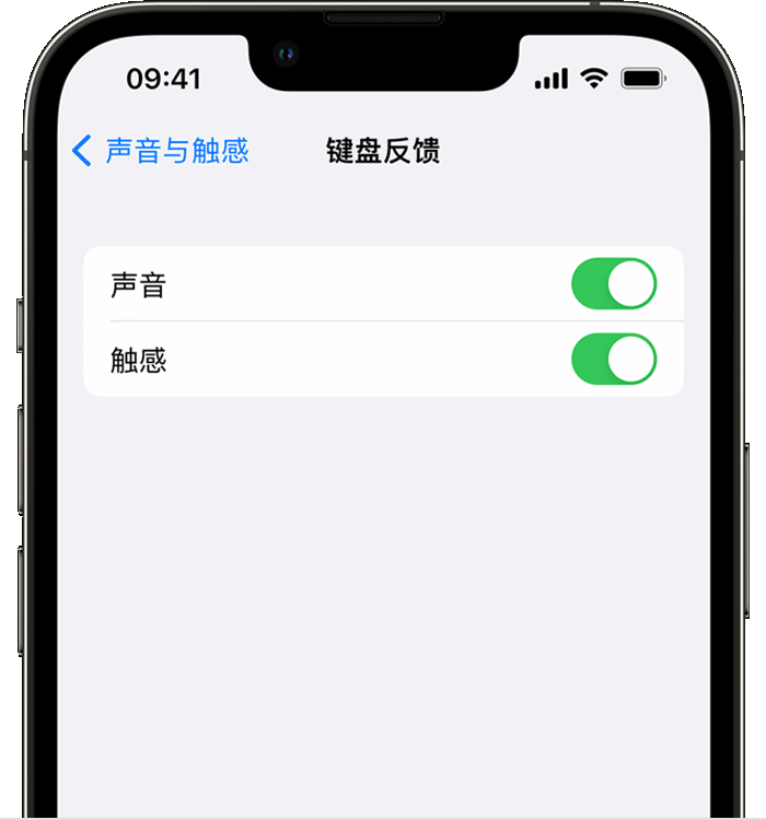 吉州苹果14维修店分享如何在 iPhone 14 机型中使用触感键盘 