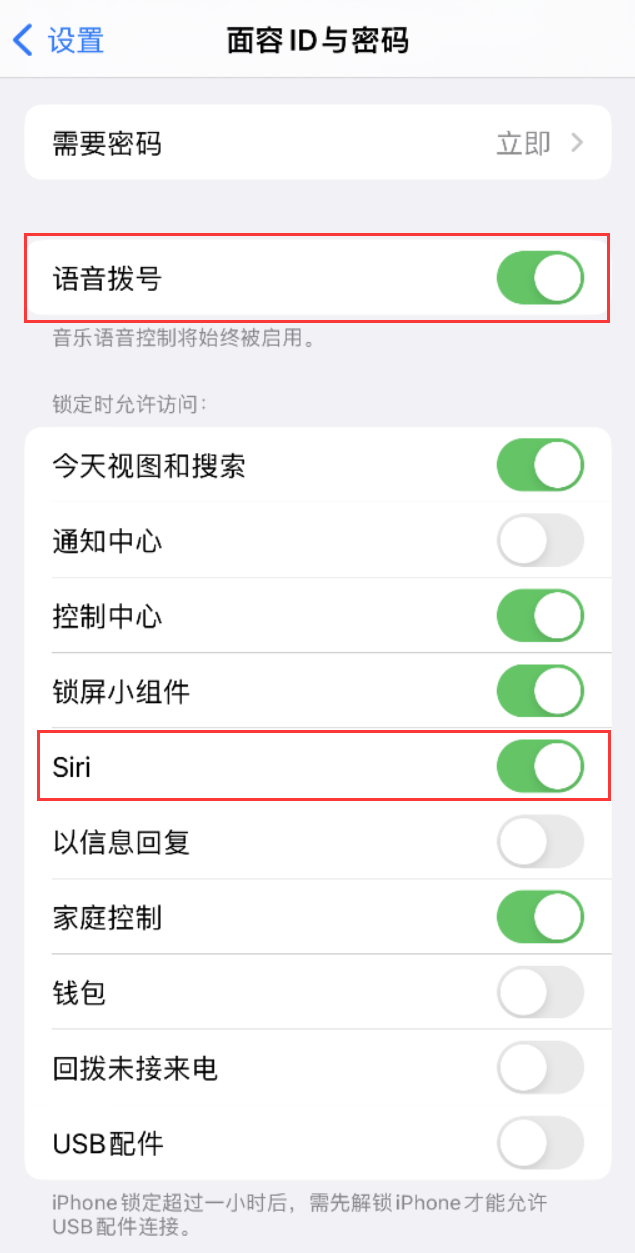 吉州苹果维修网点分享不解锁 iPhone 的情况下通过 Siri 拨打电话的方法 