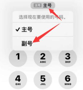 吉州苹果14维修店分享iPhone 14 Pro Max使用副卡打电话的方法 