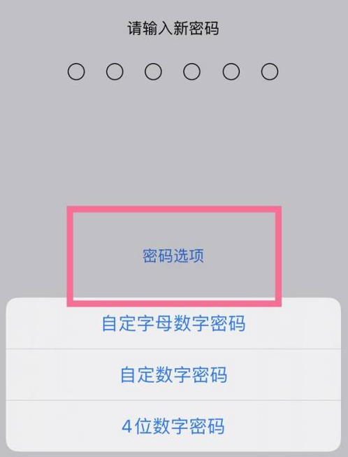 吉州苹果14维修分享iPhone 14plus设置密码的方法 