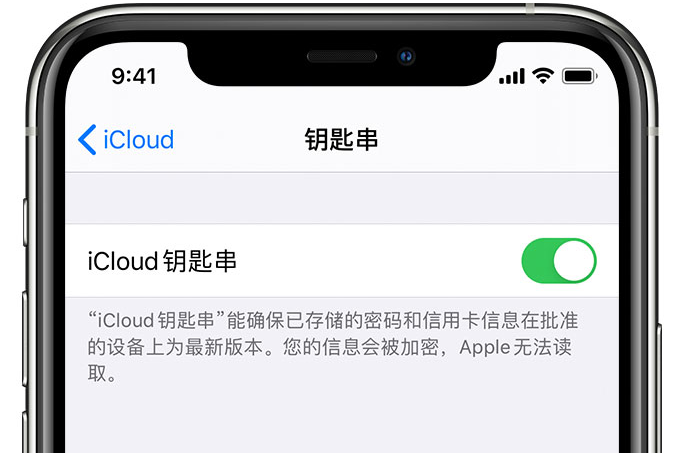 吉州苹果手机维修分享在 iPhone 上开启 iCloud 钥匙串之后会储存哪些信息 