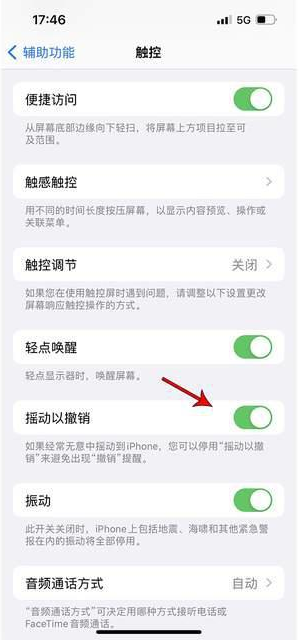 吉州苹果手机维修分享iPhone手机如何设置摇一摇删除文字 