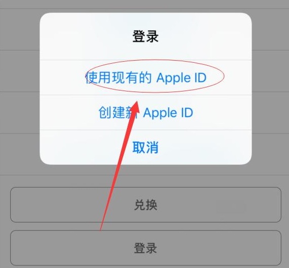 吉州苹果手机维修分享两台iPhone设备可以同时登录一个Apple ID吗 