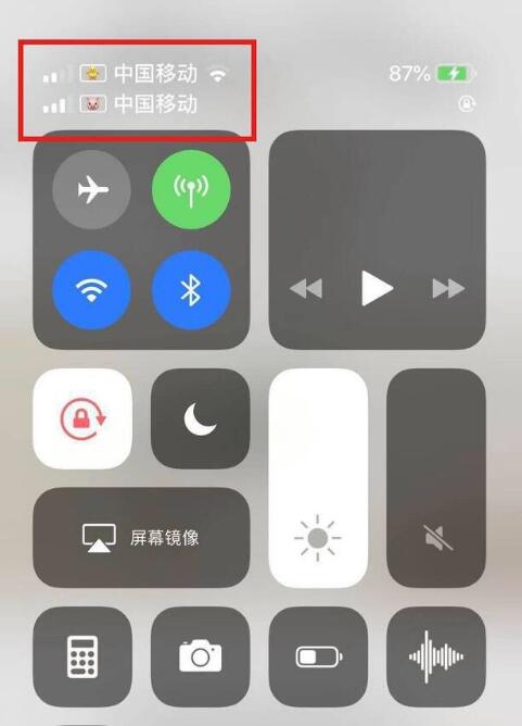 吉州苹果手机维修分享为 iPhone 12 双卡设置标签 