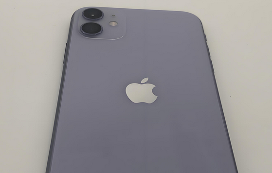 吉州苹果11系统维修分享iPhone11手机系统崩溃无法开机如何解决