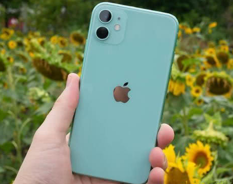 吉州苹果维修点分享iPhone 11锁屏密码认知与使用科普 